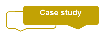Case Study icon