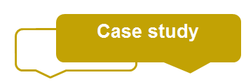 Case Studies for DfE